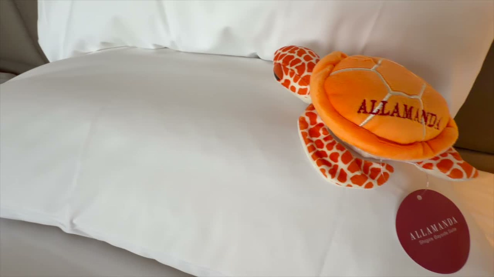 枕の上に置かれたウミガメのぬいぐるみ