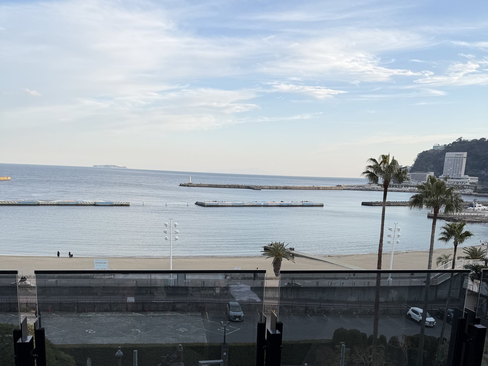 テラスから見た昼の海。熱海サンビーチとヤシの木