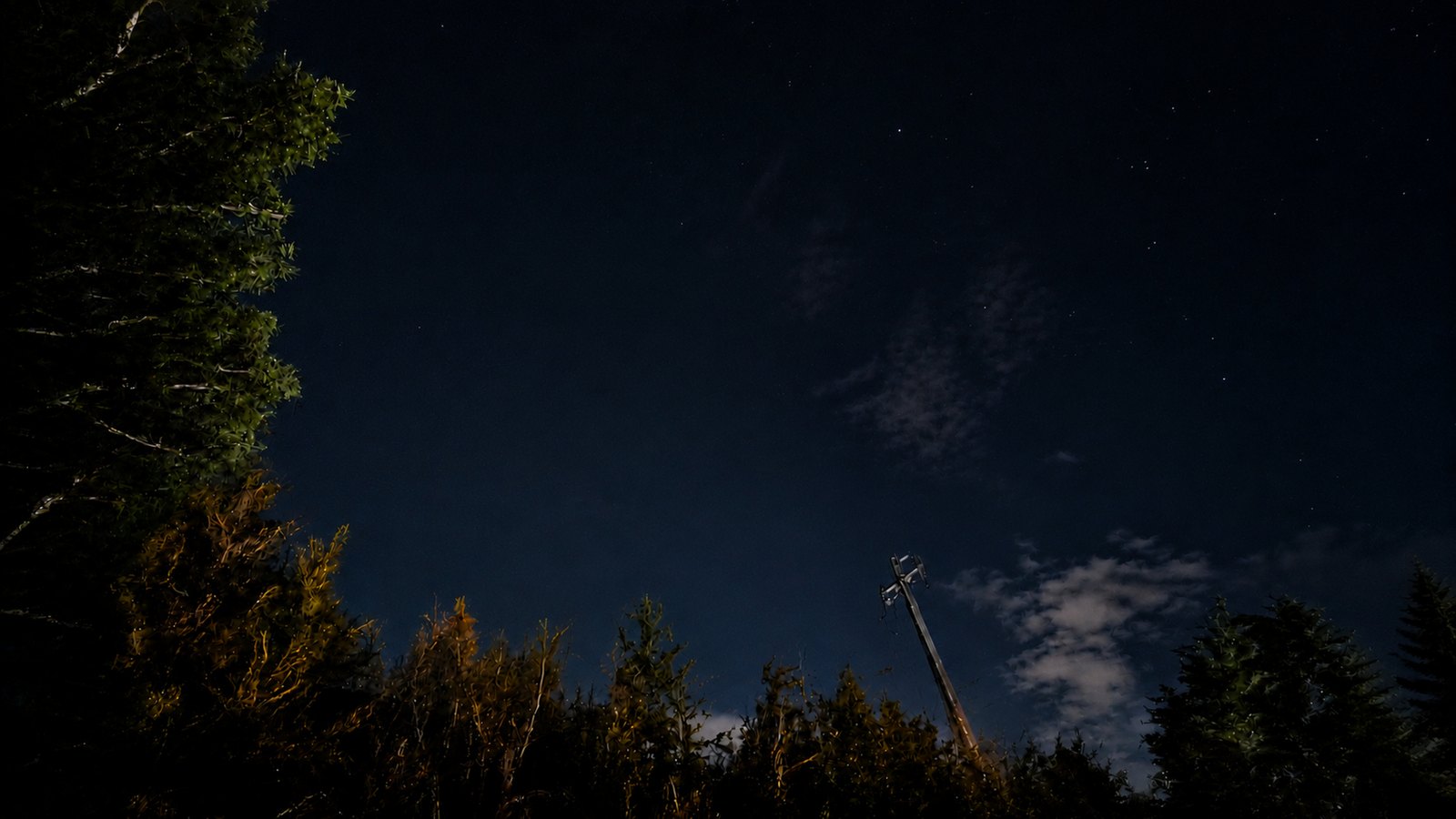 森の上に広がる星空