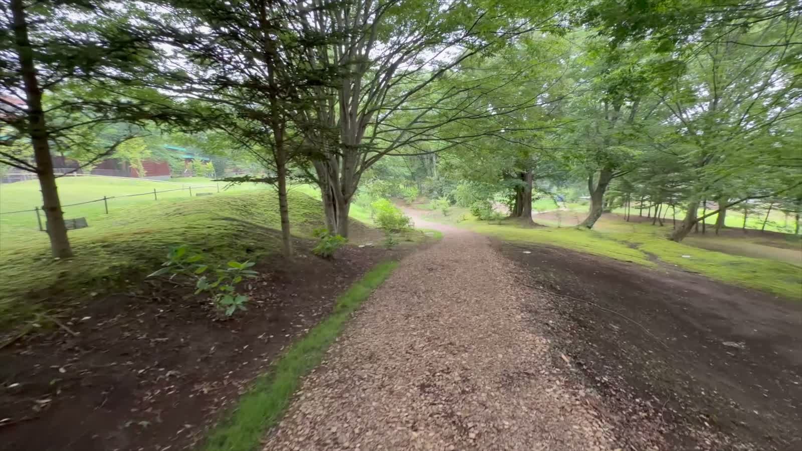 木立に囲まれた散策路