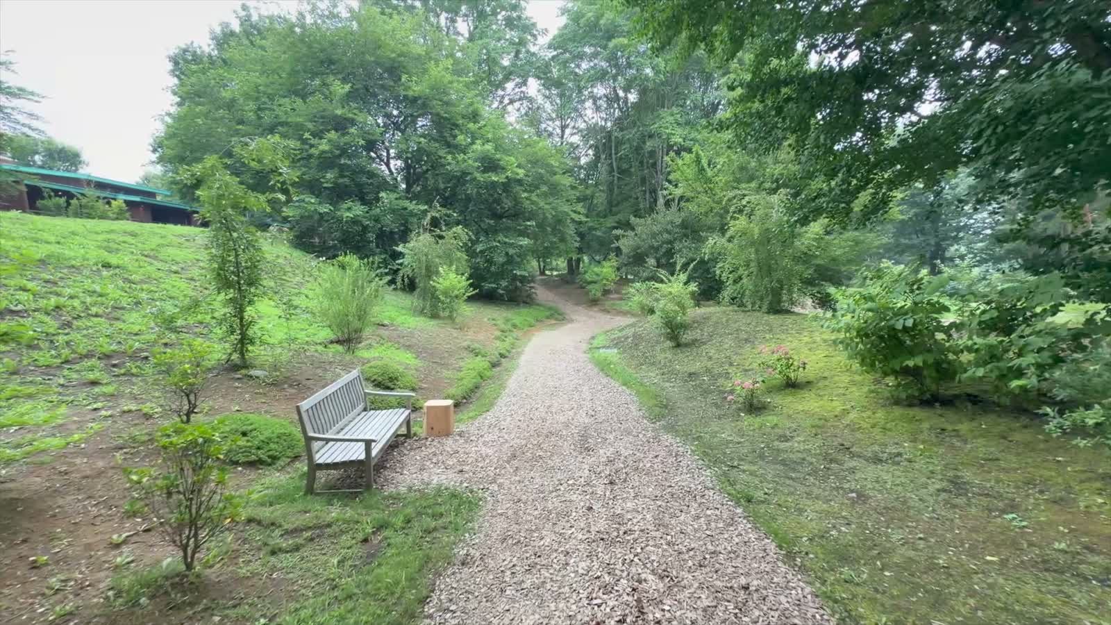 ベンチのある散策路