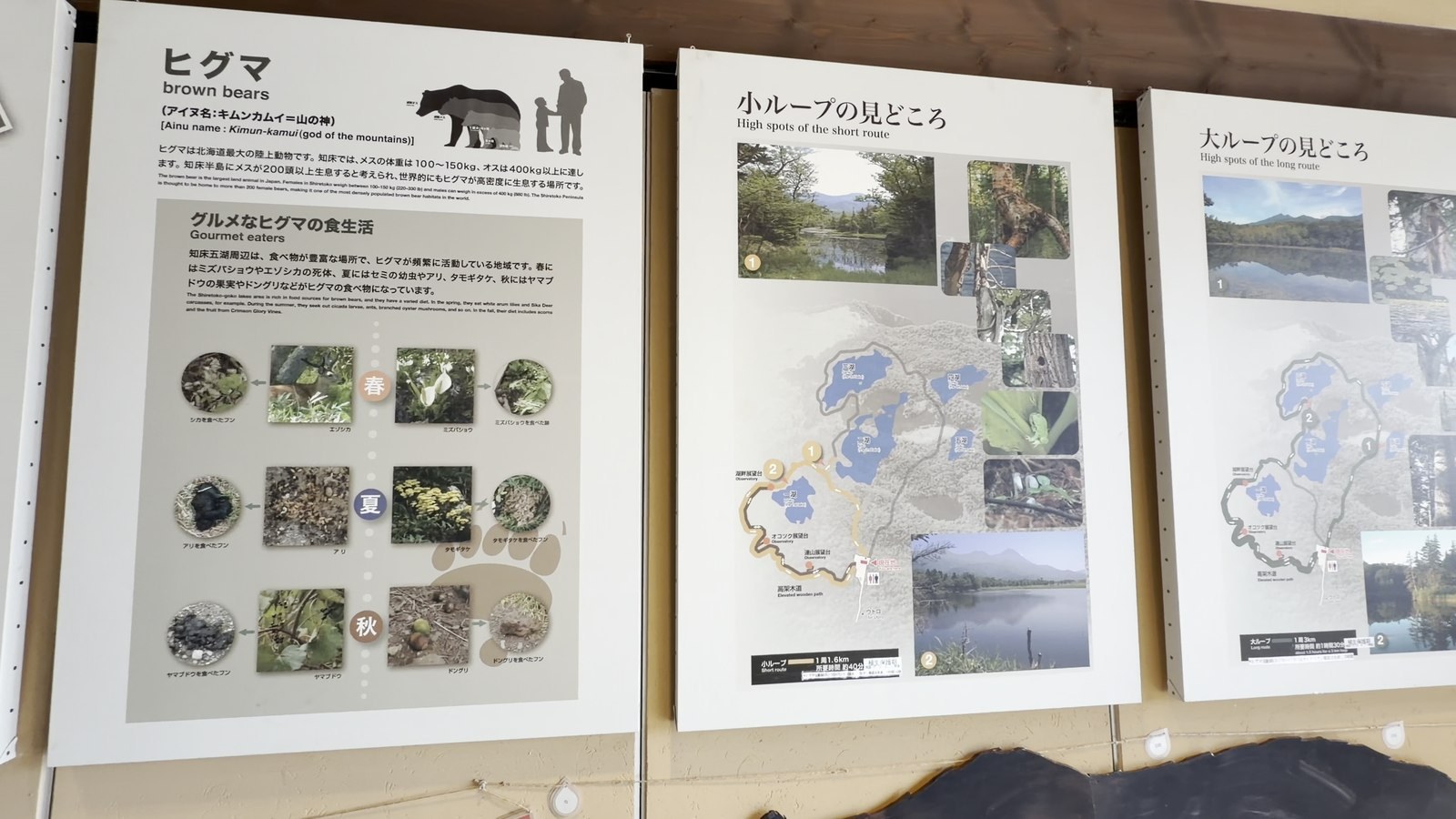 レクチャー会場のパネル。ヒグマの食痕とコースの見どころ