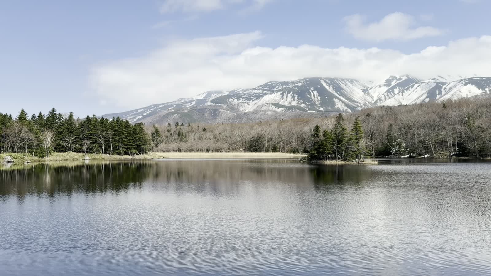 二湖の湖面と対岸の森、奥に連なる知床連山