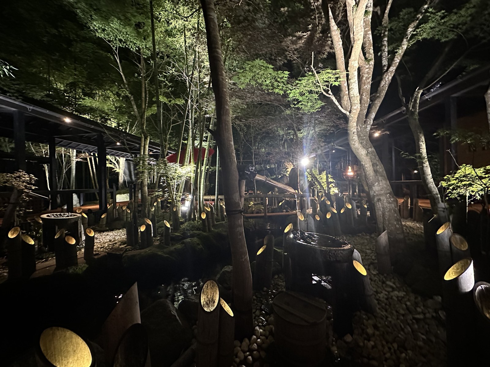 ライトアップされた夜の竹林と庭園